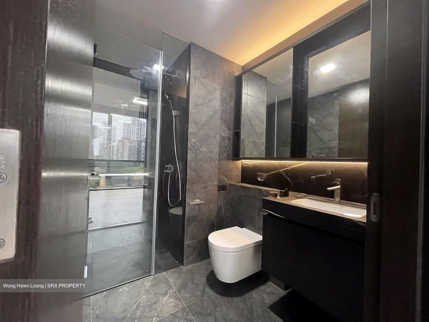 Hyll On Holland (D10), Condominium #582095711
